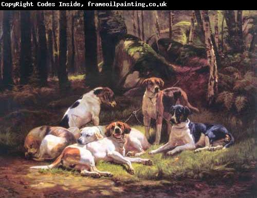 Carlo Saraceni Dogs